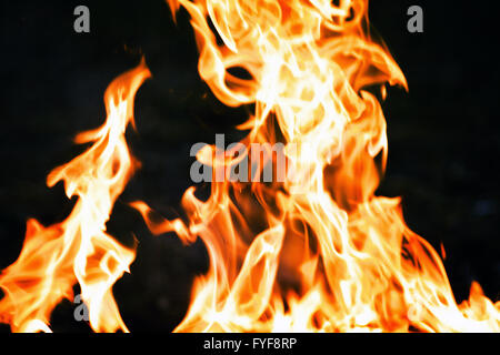 flames from a fire on a black background. picture. Stock Photo