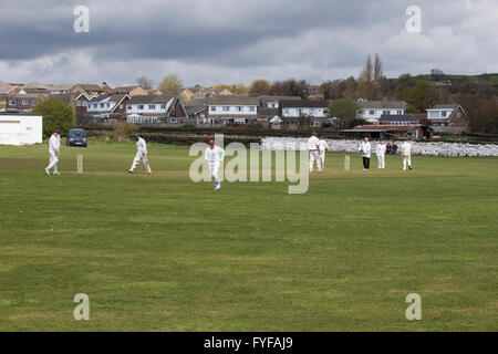 English game of cricket being played on a local village ground Stock Photo