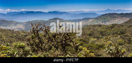 Sri Lanka, Nuwara Eliya, elevated panorama from Pidurutalagala (Mount Pedro) Stock Photo