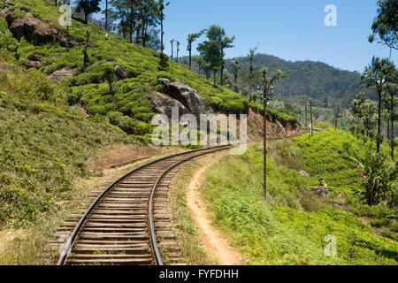 Sri Lanka, Haputale, highland railway line passing through tea estate Stock Photo