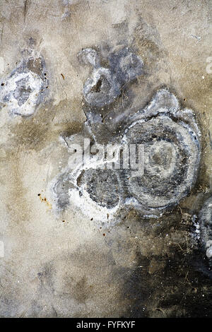 Background from high detailed fragment stone wall Stock Photo