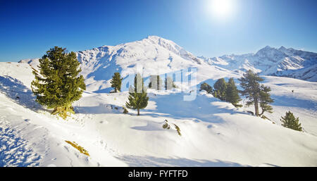 Sunny winter mountain lanscape with trees