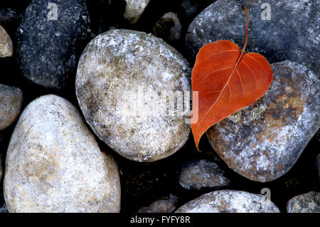 Boise, Idaho, USA Stock Photo