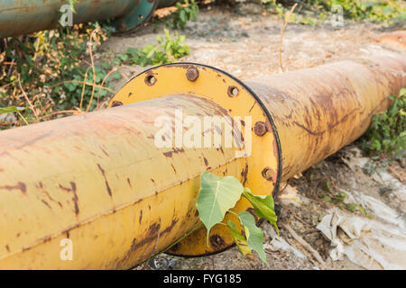 Stopcock on the pipe among grass beneath Stock Photo