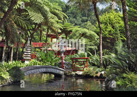 The park on the Madeira -  Monte Palace Tropical Garden Stock Photo