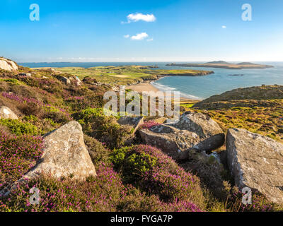 Coastal view down to Whitesands Bay and Ramsey Island taken from Carn Llidi summit on the north Pembrokeshire coastline Stock Photo