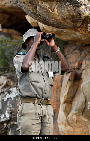 Portrait of a African Field Ranger looking through field glasses,  Kruger National Park South Africa Stock Photo