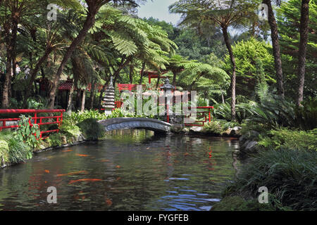 The wonderful bridge over a pond with goldfish. Stock Photo