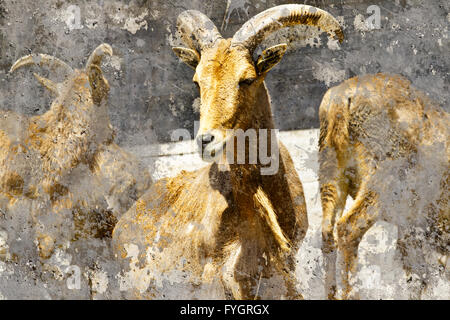 Ibex. Artistic image with background textures Stock Photo