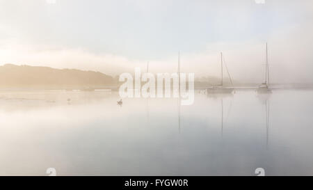 Misty sunrise on the Cleddau river near to Lawrenny - Pembrokeshire Stock Photo