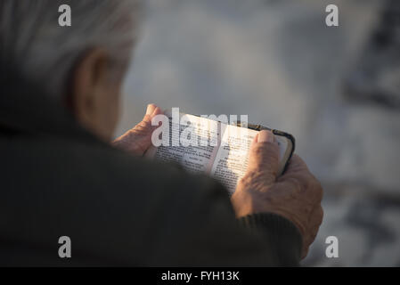 Elder man reading holy bible in spanish seen from over the shoulder angle view, religion concept. Stock Photo