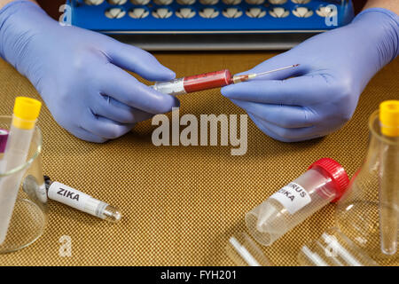 Sample blood collection tube with a suspected virus Zika Stock Photo