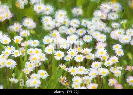 Oil painting spring meadow with daisy flowers. Flower oil painting background. Stock Photo