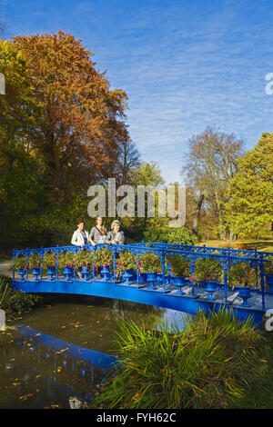 Blue Bridge in Fuerst-Pueckler-Park, Bad Muskau Stock Photo