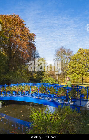 Blue Bridge in Fuerst-Pueckler-Park, Bad Muskau Stock Photo