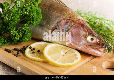 Pike perch on a wooden kitchen board, it is isolated on white Stock Photo