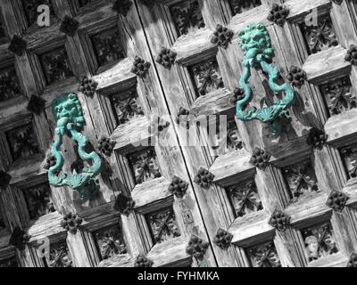 Old wooden door with decorative brass knockers in the shape of a lion's head, in mono with brass knockers highlighted in green Stock Photo