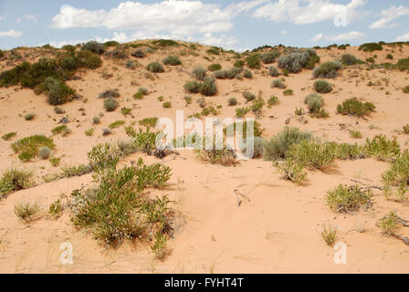 View of sand dunes in Coral Pink Sand Dunes State Park, Utah, United States Stock Photo