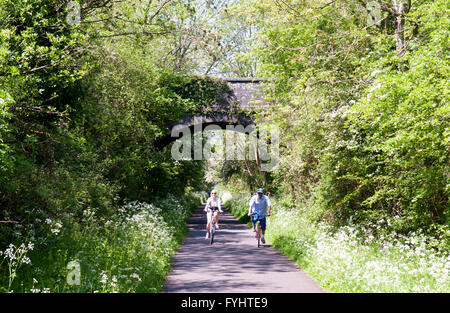 A couple cycling on the Bristol and Bath Railway Path in spring. Stock Photo