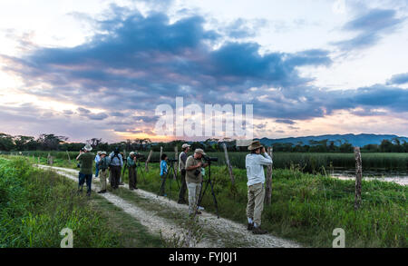 A group of bird watchers search for bird at a wetland before sunset. Stock Photo