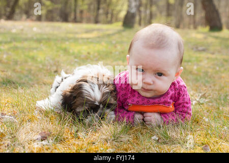Cute puppy and baby in the park Stock Photo