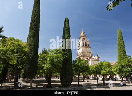 The Bell Tower, also called the Tower of Alminar, seen from the Courtyard of the Orange Trees of the Mosque-Cathedral of Cordoba Stock Photo