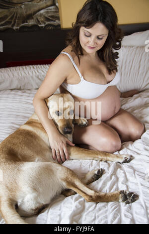 Pregnant Mother Relaxing On bed with labrador retriever, dog, Together Stock Photo