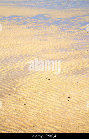 sand in the beach abstract thailand  low tide Stock Photo
