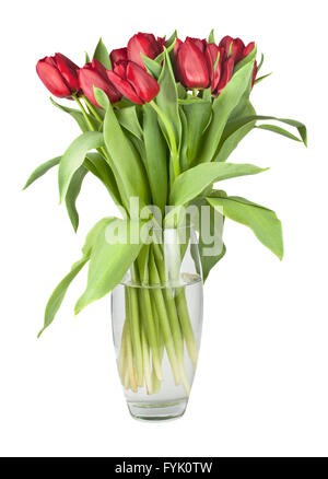Bouquet of red tulips in a glass vase Stock Photo