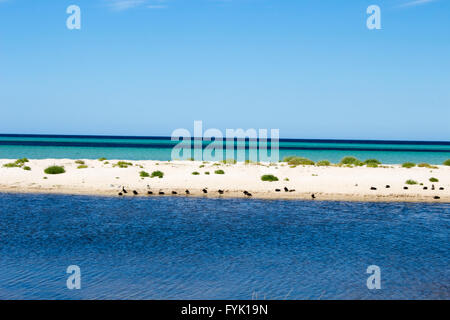 The calm Indian Ocean  at  Dunsborough  , Geographe Bay   South Western Australia on a fine late  afternoon in  spring . Stock Photo