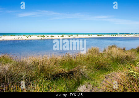 The calm Indian Ocean  at  Dunsborough  , Geographe Bay   South Western Australia on a fine late  afternoon in  spring . Stock Photo