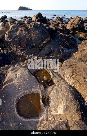 madagascar    seaweed in indian  isle  sky and rock Stock Photo