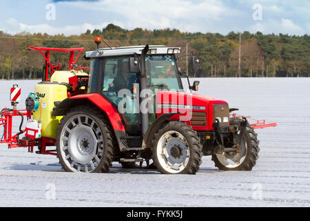 Hesketh Bank, Lancashire, UK. 27th April 2016. UK Weather: Farmers in the salad bowl of Lancashire are held back in the production of salad crops due to the continued cold weather which is restricting growth.  The area is a large employer of foreign immigrant labourers & EU nationals who are restricted to shorter working hours which is having a knock on effect to the local economy.  The farmers are continuing to plant under protective fleece by satellite navigation. Credit:  Cernan Elias/Alamy Live News Stock Photo