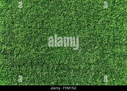Green grass texture background Stock Photo