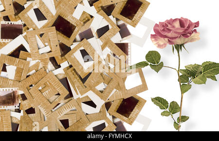 Old card 35mm slide mount Stock Photo: 71786264 - Alamy