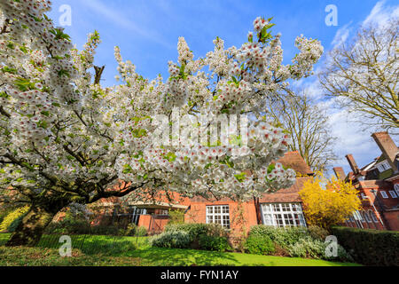 Beautiful places around the famous Selwyn College at Cambridge University, United Kingdom Stock Photo