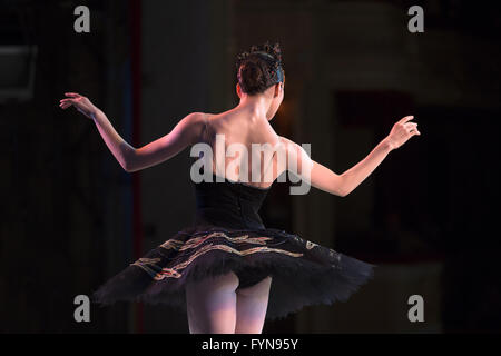 Prima ballerina dancing Stock Photo