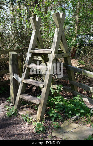 wooden steps over a fence Stock Photo