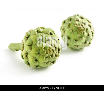Two whole farm fresh green artichokes on a white background with soft shadow detail and copyspace Stock Photo
