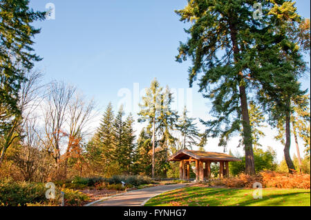 Washington Park Arboretum in Seattle Stock Photo