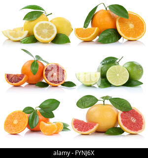 Collection of oranges mandarins lemons grapefruit fruits isolated on a white background Stock Photo