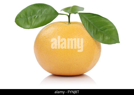 Grapefruit fruit with leaves isolated on white background Stock Photo
