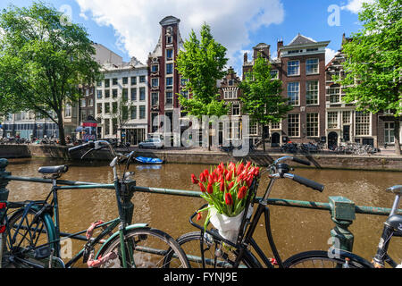 Amsterdam Single Gracht bicycle with tulips, Amsterdam, Netherlands Stock Photo