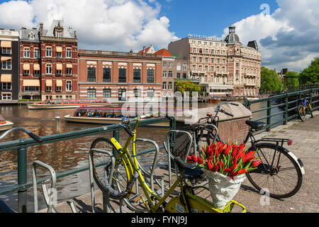 bicycle with tulips, Amsterdam, Netherlands Stock Photo