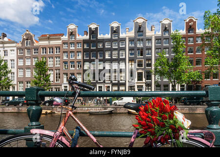 Amsterdam Single Gracht bicycle with tulips Amsterdam, Netherlands Stock Photo