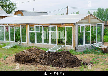 greenhouse and heap of manure Stock Photo