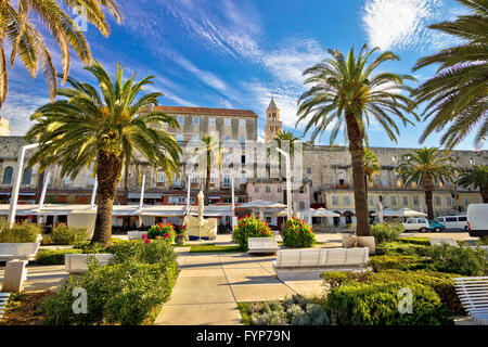 Split Riva palm waterfront view Stock Photo