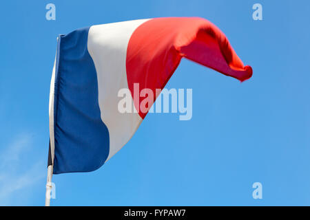french waving flag in the   colour and wave Stock Photo