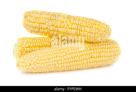 Three ripe yellow corn on the cob Stock Photo