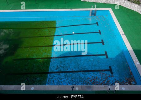 Green algae growing in neglected swimming pool Stock Photo